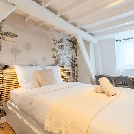 Lille Beaux Arts Equipped Apartment Exterior photo